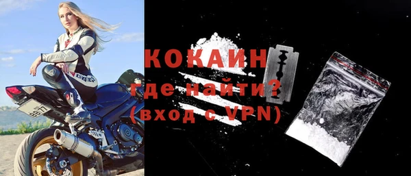 индика Кинешма