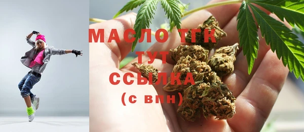 индика Кинешма