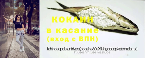 стафф Карпинск