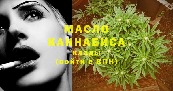 индика Кинешма