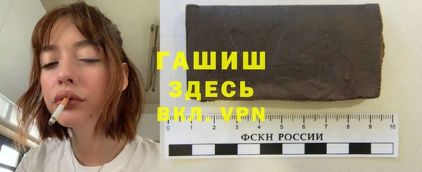 индика Кинешма