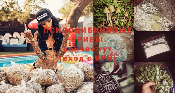 тгк Касимов