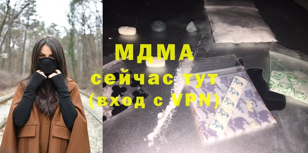 индика Кинешма