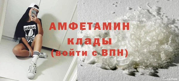 индика Кинешма