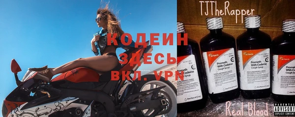 индика Кинешма