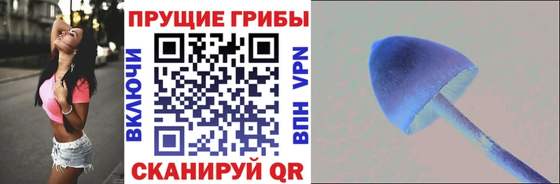Псилоцибиновые грибы прущие грибы  Купить где  Лебедянь 